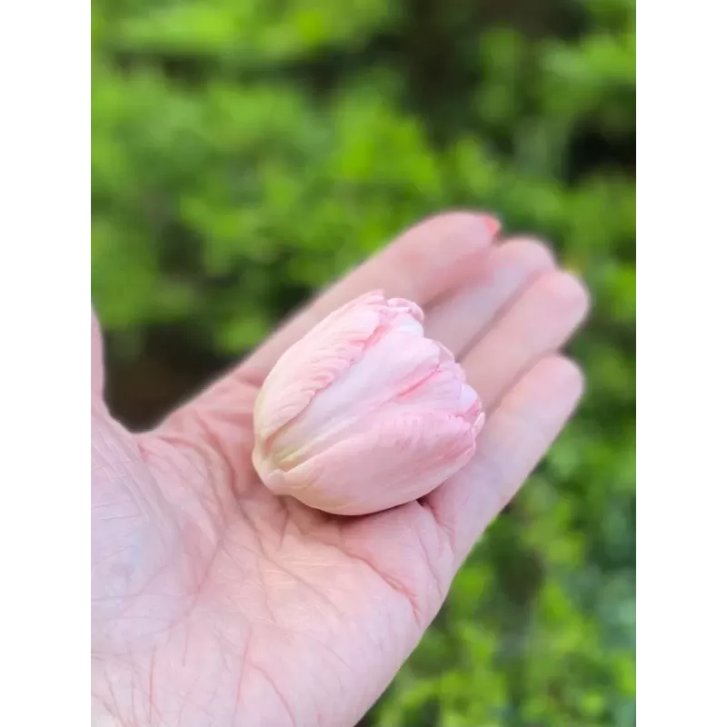 Foremka Tulipan otwarty