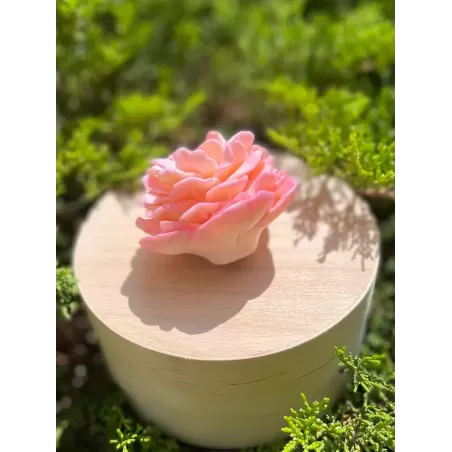 Foremka Piwonia Gamma