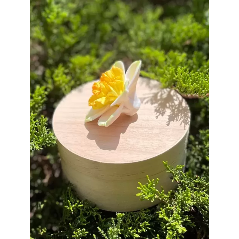 Foremka narcyz żonkil