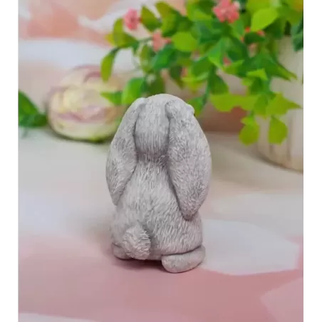 Foremka Zając szary