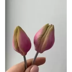 Foremka „Tulipan Fre