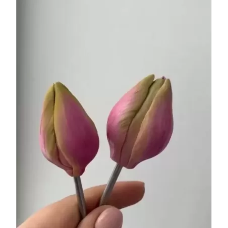 Foremka „Tulipan Fre