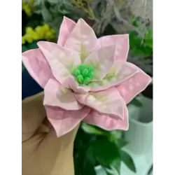 Forma Gwiazda Betlejemska