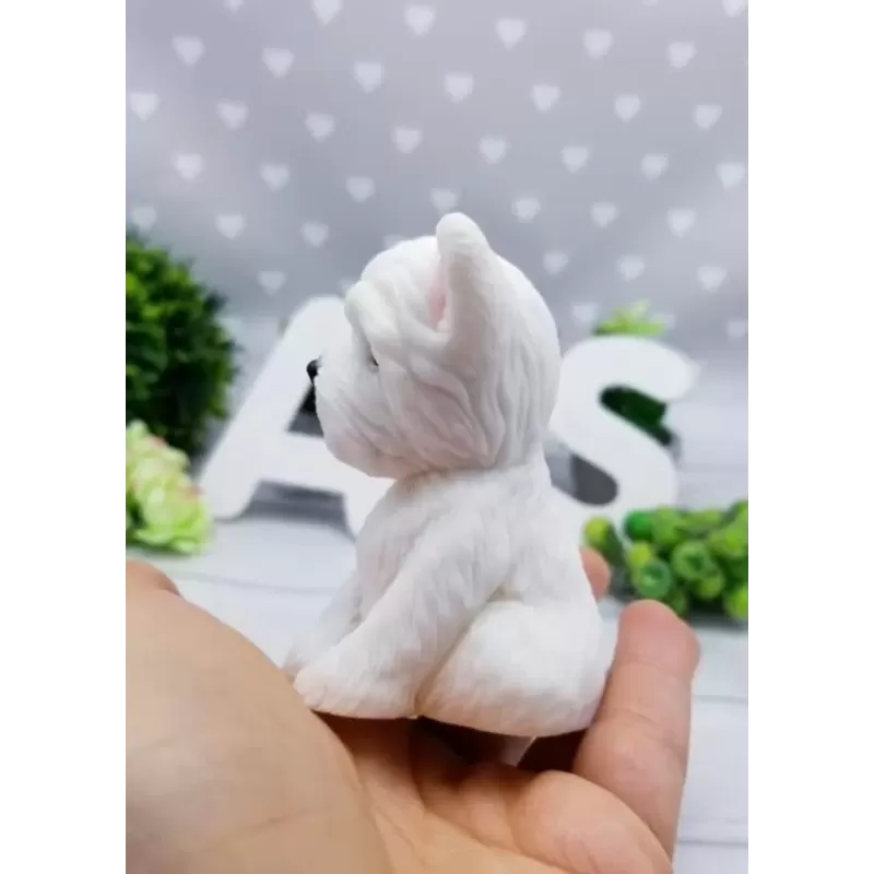 Foremka Pies Blondyn