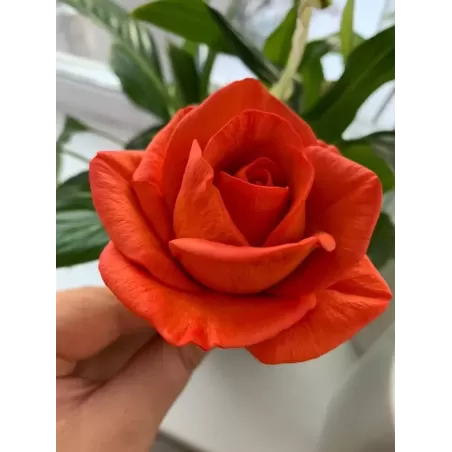 Forma silikonowa Róża Maria Duża