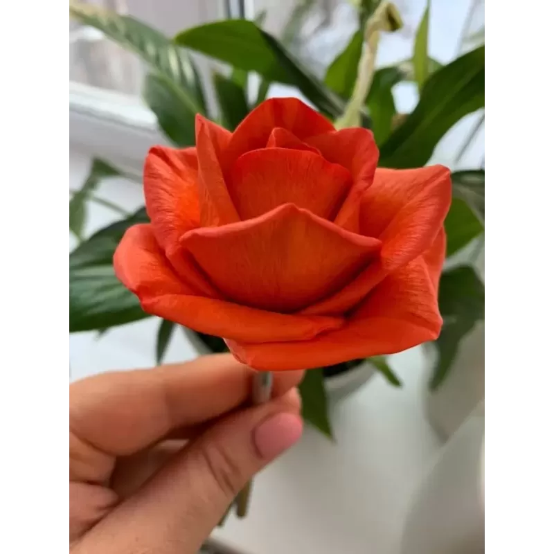 Silicone mold Róża Maria Large