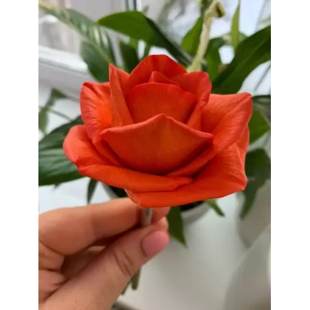 Forma silikonowa Róża Maria Duża