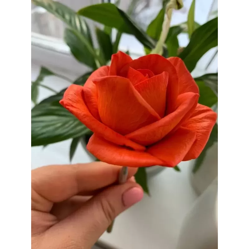 Silicone mold Róża Maria Large