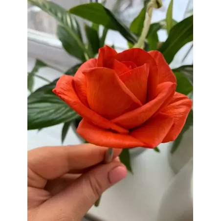 Silicone mold Rose Maria Large