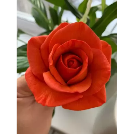 Silicone mold Rose Maria Large