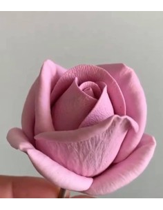 Forma Róży Maria Mała 2