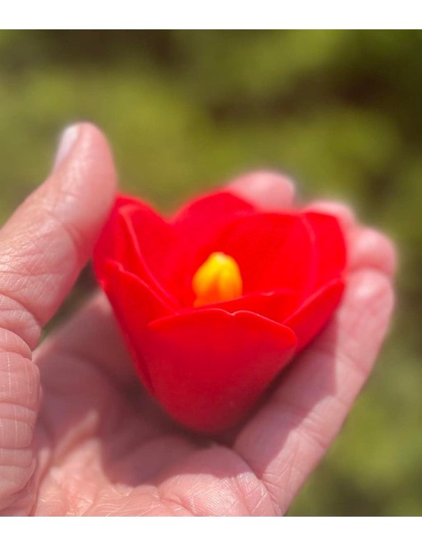 Silicone mold Amaryllis