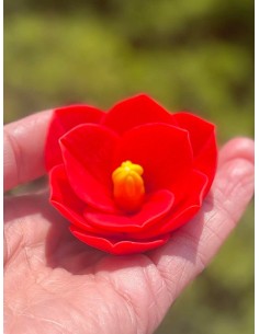 Amaryllis silicone mold