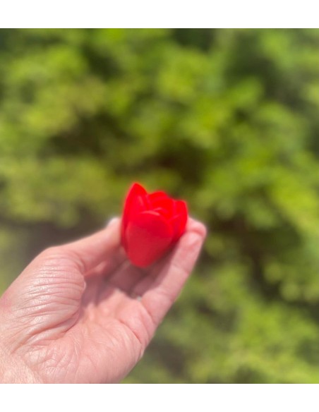 Foremka silikonowa Amarylisy