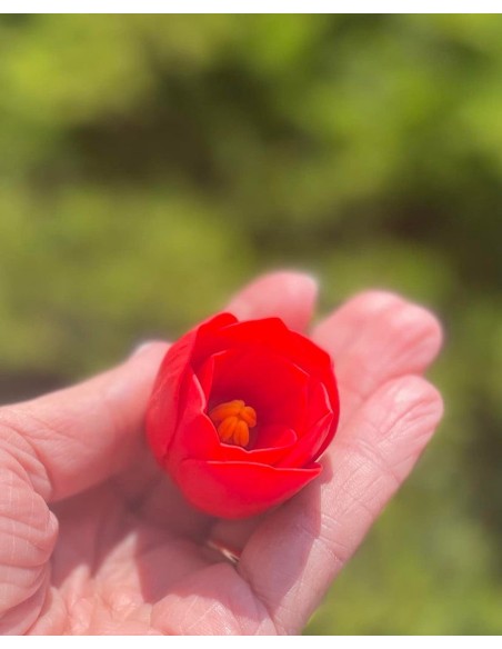 Silicone mold Amaryllis