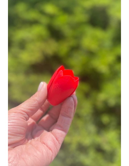 Amaryllis silicone mold