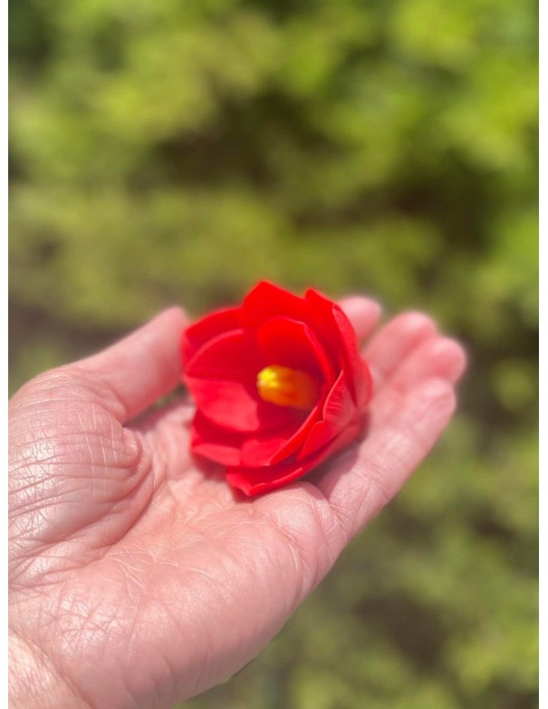 Amaryllis silicone mold