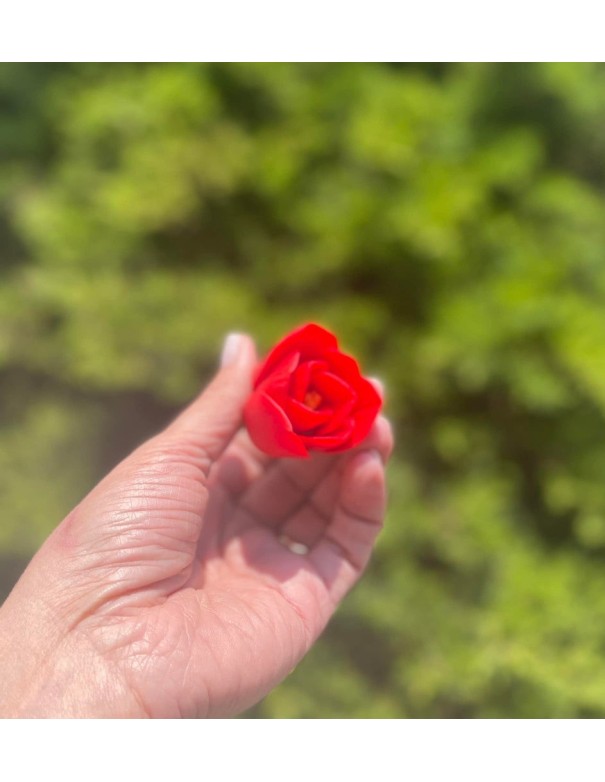 Amaryllis silicone mold