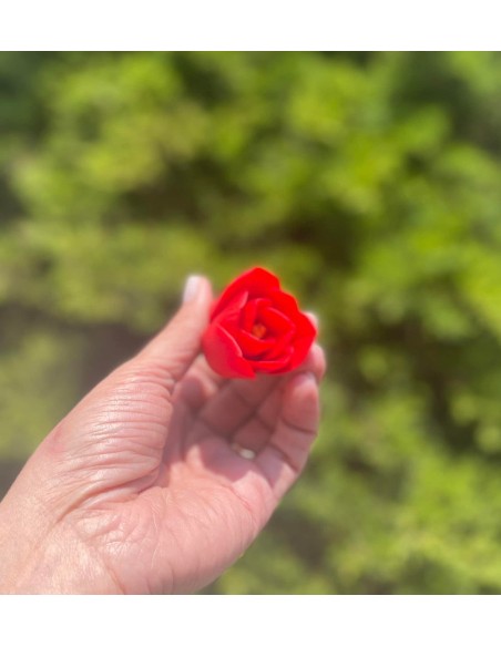 Silicone mold Amaryllis