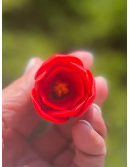 Silicone mold Amaryllis