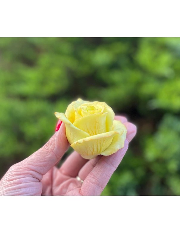 Foremka silikonowa Róża żółta