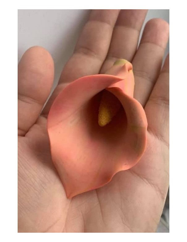 Silicone mold Calla Lily Flower