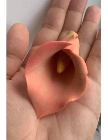 Silicone mold Calla Lily Flower