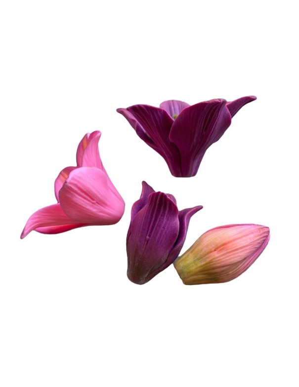 Silicone mold Lily flower