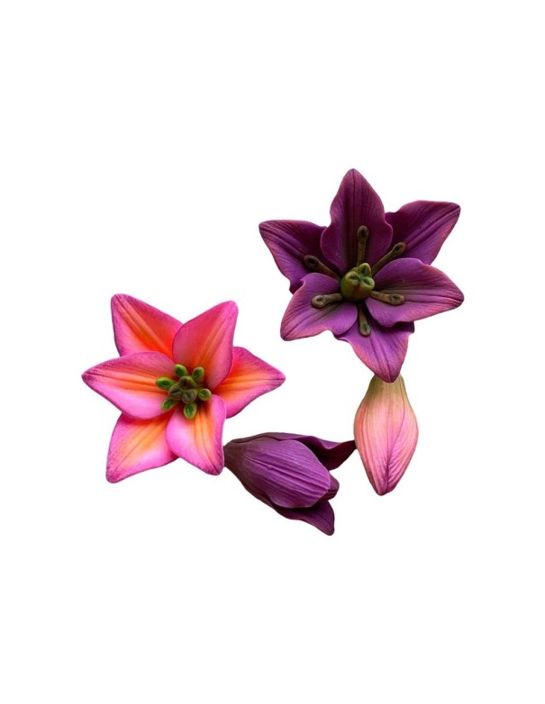 Silicone mold Lily flower