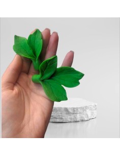 Peony Leaves Silicone Mold