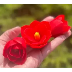 Silicone mold Amaryllis 2