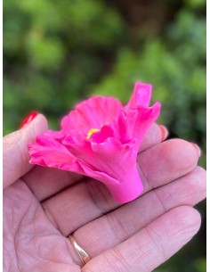 Foremka Cudny kwiatek 2