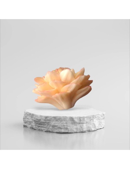 Silicone mold Dahlia Dachlia