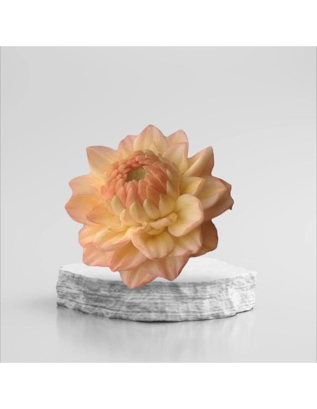 Silicone mold Dahlia Dachlia