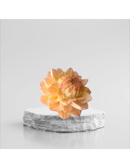 Silicone mold Dahlia Dachlia