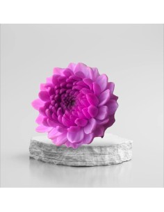 Garden Dahlia Silicone Mold 2