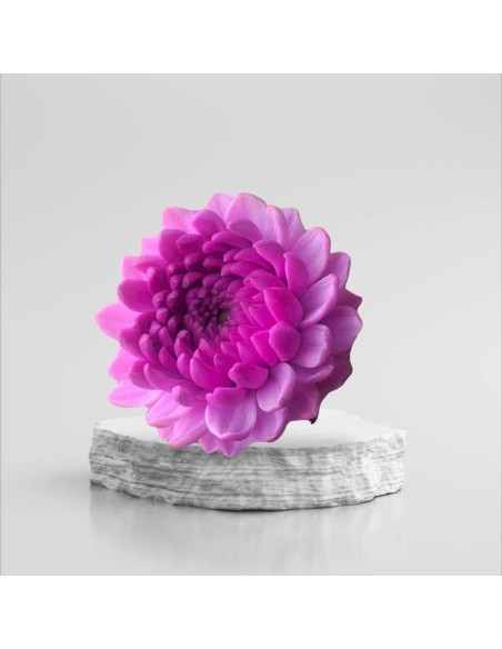 Garden Dahlia Silicone Mold