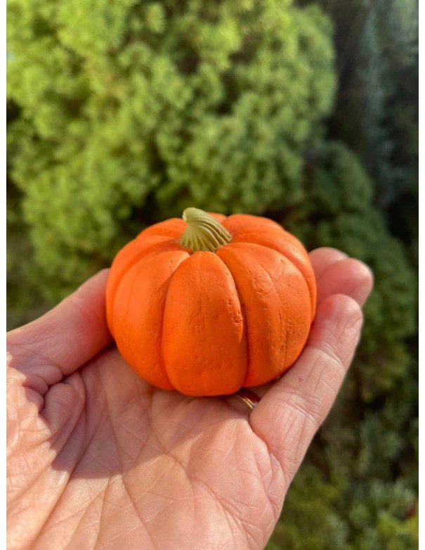 Silicone mould Pumpkin