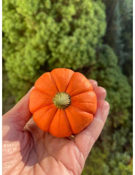 Silicone mould Pumpkin