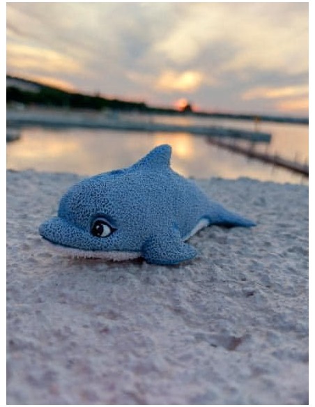 Dolphin Silicone Mold