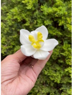 Silicone mold Orchid