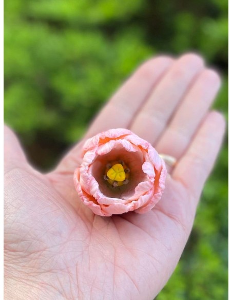 Silicone mold Open Tulip