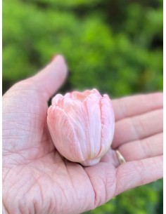Silicone mold Open Tulip