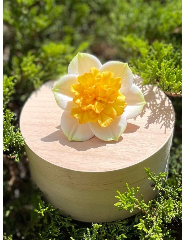 Silicone mold Narcissus daffodil