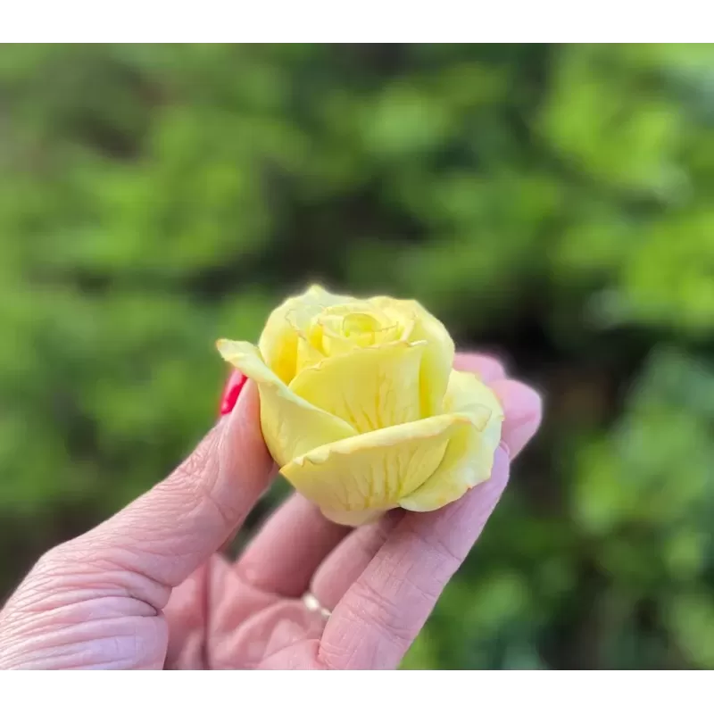 Foremka Róża żółta