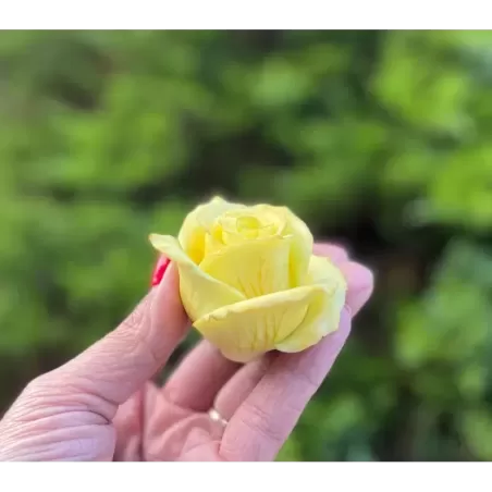 Foremka Róża żółta