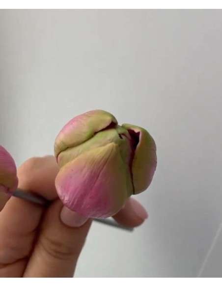 Silicone mold Tulip Fre