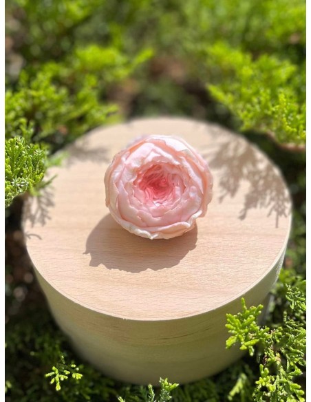 Silicone mold Valencia Rose