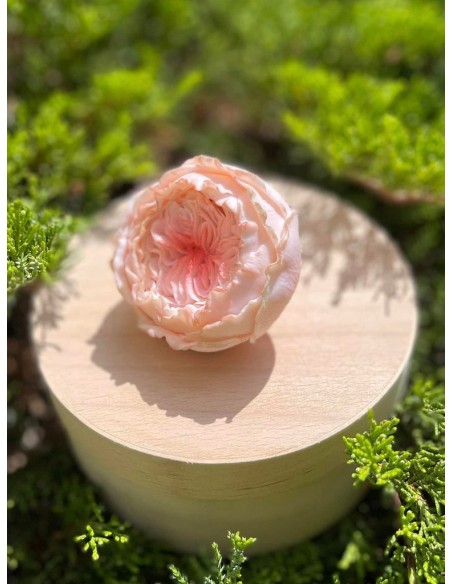 Silicone mold Valencia Rose