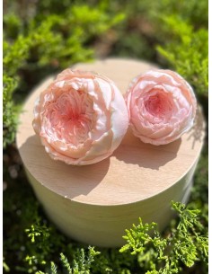 Silicone mold Valencia Rose